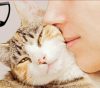 この画像は、サイトの記事「猫 病気 音楽 ネットで話題 YouTube注目無料視聴動画ご紹介！」のイメージ写真画像として利用しています。